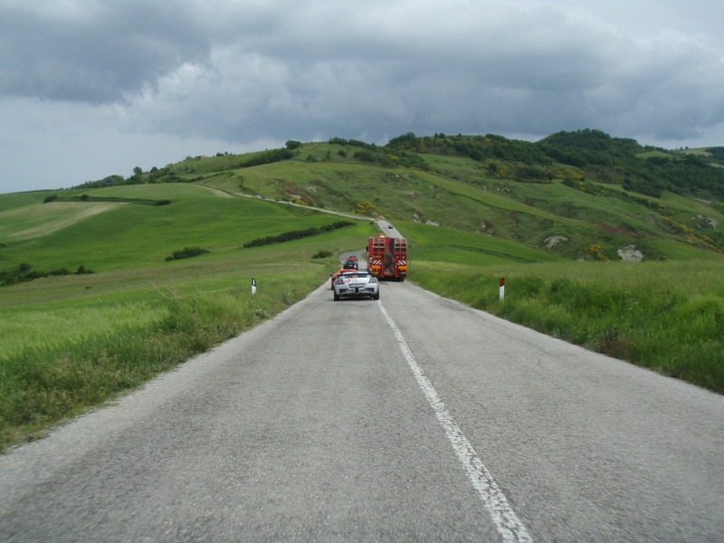 p5161295wz2.jpg
